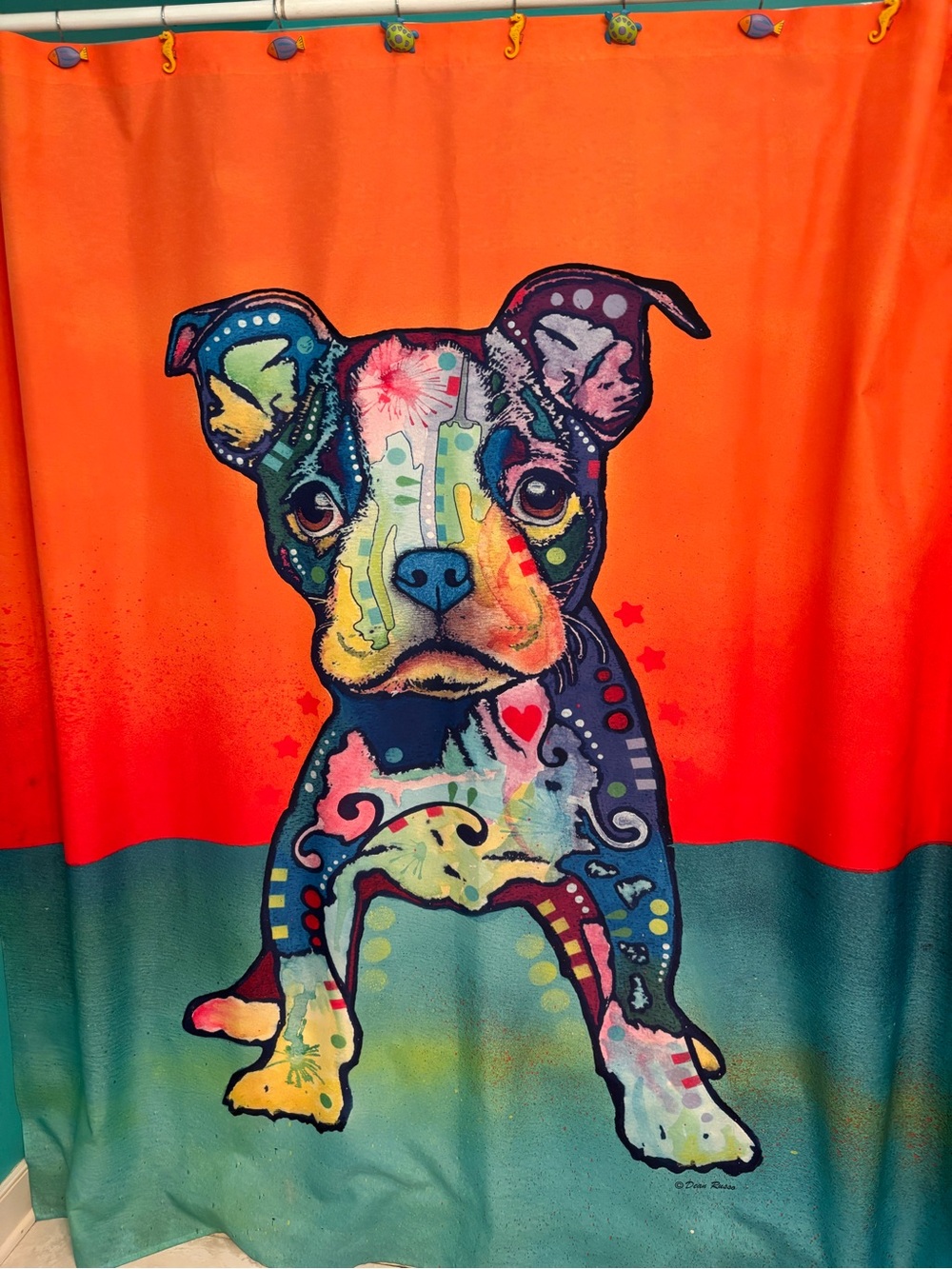 Dean Russo Boston Terrier/Frenchie  Multicolor Art Shower Curtain